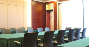 Medium Conference Room